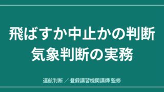 飛ばすか中止か｜ドローンの気象判断 Windy・SCW・GPVの使い分けと中止基準のアイキャッチ画像