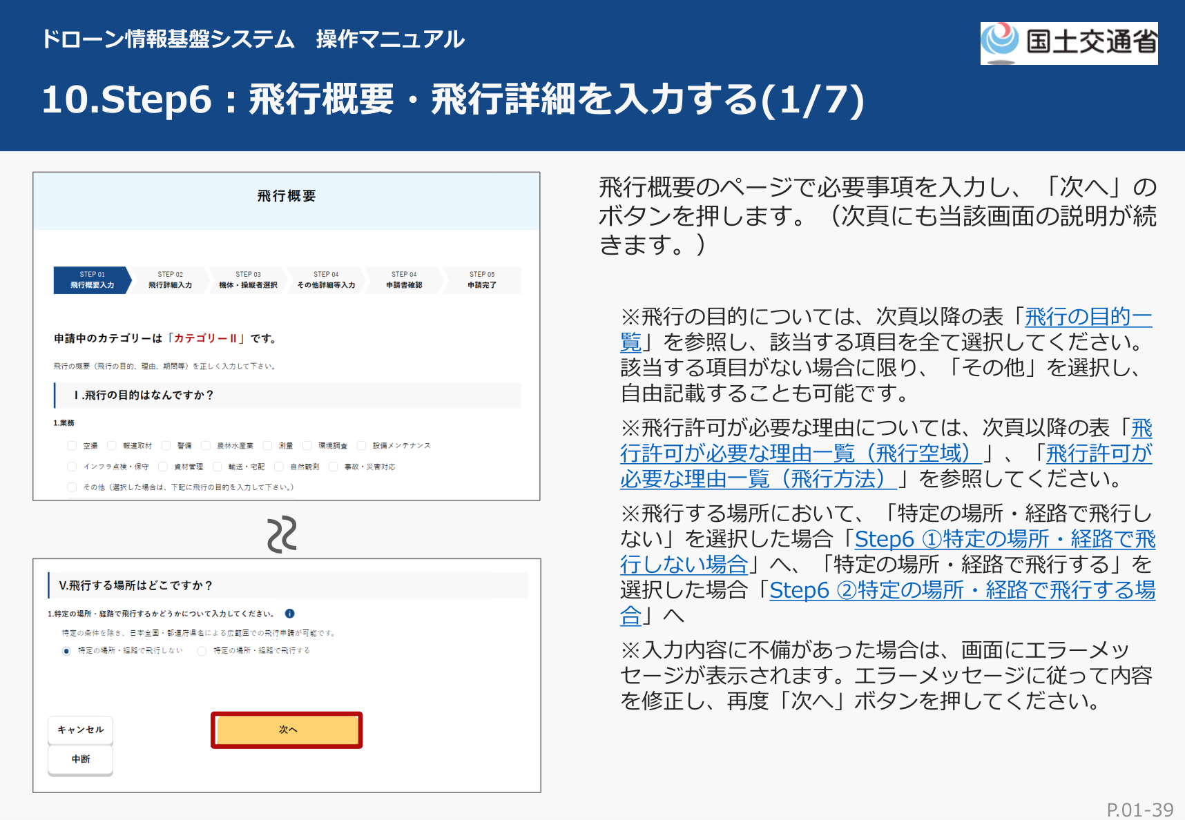 DIPS2.0 飛行概要の入力画面